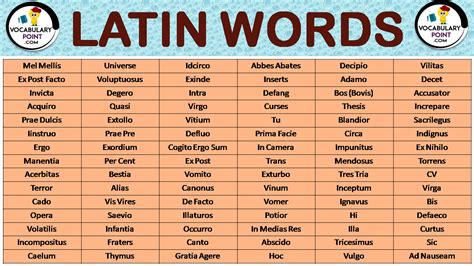 list of latin words.